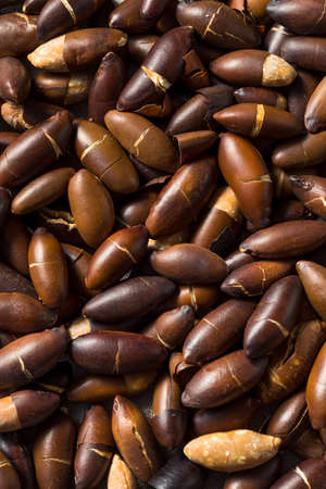 Raw Brown Organic Brazilian Baru Nuts in a Bowlの写真素材