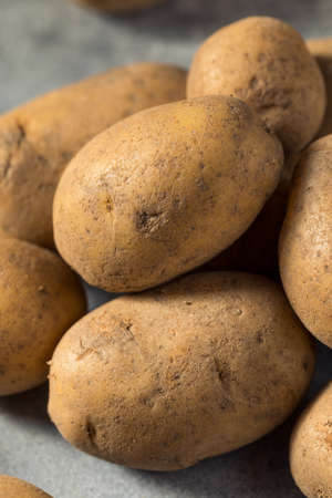 Raw Organic Russet Potatoes in a Bunchの写真素材