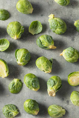 Raw Green Organic Brussel Sprouts Ready to Cookの写真素材