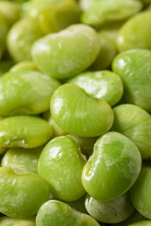 Organic Raw Steamed Green Lima Beans in a Bowl