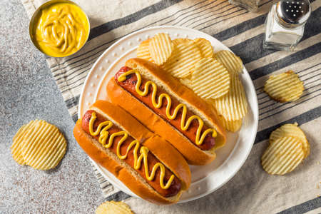 Homemade American Hot Dog with Mustard and Potato Chipsの写真素材