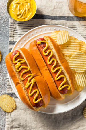 Homemade American Hot Dog with Mustard and Potato Chipsの写真素材