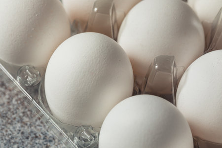 Raw Organic Cage Free White Eggs in a Groupの写真素材