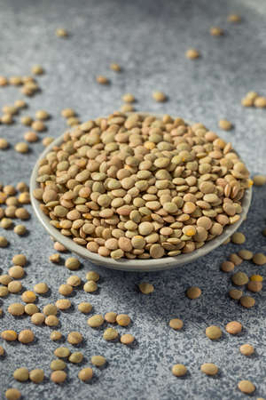 Raw Brown Organic Lentils Legumes in a Bowl