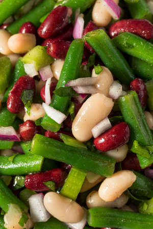Homemade Organic Three Bean Salad with Green Kidney and Cannelliniの写真素材
