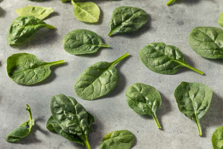 Raw Green Organic Baby Spinach Ready to Cook