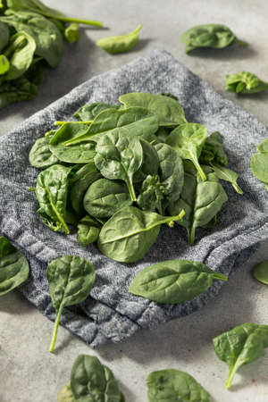 Raw Green Organic Baby Spinach Ready to Cook