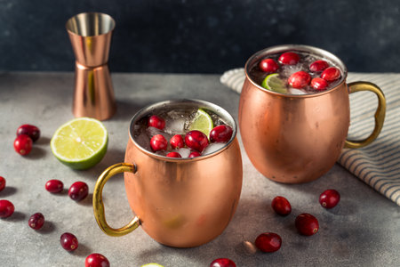 Boozy Cranberry Moscow Mule with Vodka and Limeの写真素材