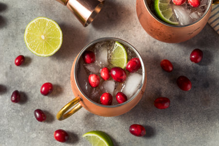 Boozy Cranberry Moscow Mule with Vodka and Limeの写真素材