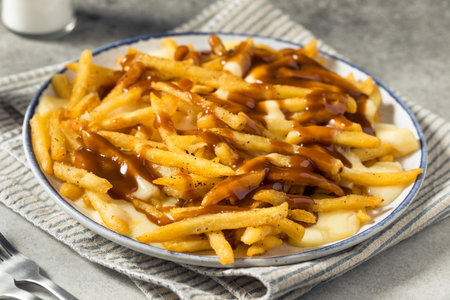 Homemade Canadian Poutine Gravy French Fries with Cheese Curdsの写真素材