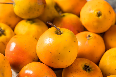 Raw Orange Organic Tejocote Apples in a Bunchの写真素材