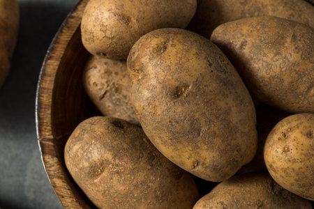 Raw Brown Organic Russet Potatoes in a Bowlの写真素材