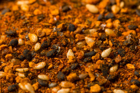 Spicy Togarashi Shichimi Japanese 7 Spice in a Bowlの写真素材