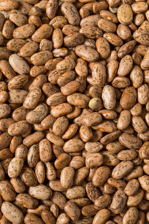 Dry Organic Raw Pinto Beans in a Bowl