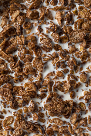 Healthy Sweet Chocolate Cocoa Breakfast Cereal with Whole Milk