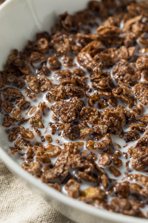 Healthy Sweet Chocolate Cocoa Breakfast Cereal with Whole Milk