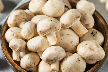 Raw White Organic Champignnon Mushrooms in a Bowlの写真素材