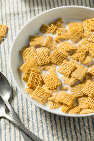 Healthy Organic Cinnamon Whole Wheat Cereal with Milk