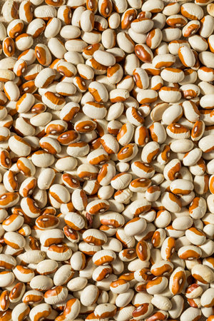 Organic Raw Yellow Eyed Beans in a Bowl