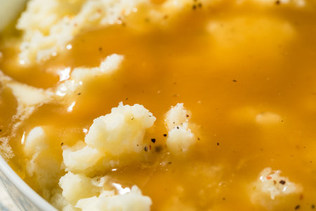 Homemade Turkey Gravy and Mashed Potatoes with Butterの写真素材
