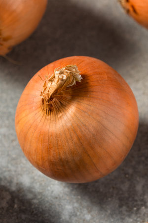 Organic Raw Brown Yellow Onions in a Bunchの写真素材