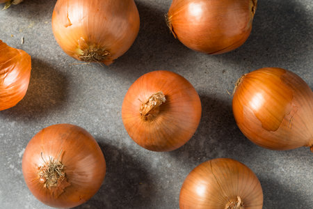Organic Raw Brown Yellow Onions in a Bunchの写真素材