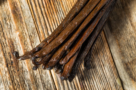 Organic Raw Madagascar Vanilla Beans in a Bunchの写真素材