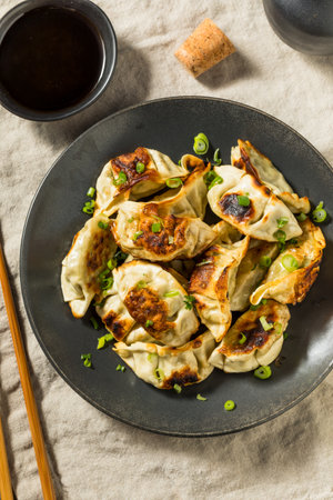 Asian Dumpling Pot Stickers Gyoza with Soy Sauceの写真素材