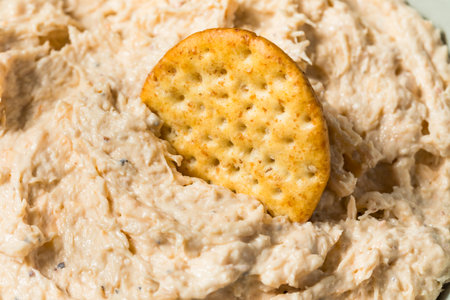 Homemade Creamy Crab Dip Appetizer with Round Crackersの写真素材