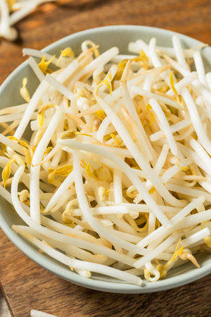 Organic Raw White Mung Bean Sprouts in a Bowlの写真素材