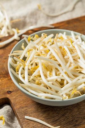 Organic Raw White Mung Bean Sprouts in a Bowlの写真素材