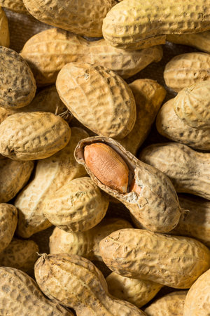 Brown Organic Raw Peanuts in a Bowl