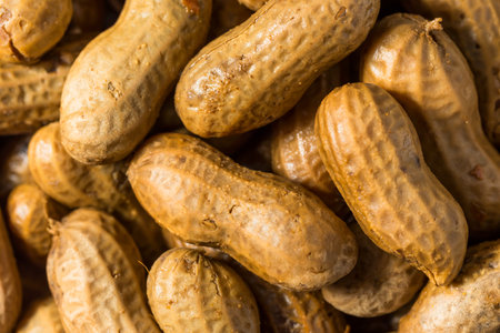 Spicy Southern Cajun Boiled Peanuts for a Snack in a Bowlの写真素材