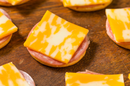 Gourmet Cheese Meat and Crackers as a Healthy Appetizerの写真素材