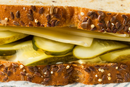 Homemade Creamy PIckle Sandwich with Mayo and Cheeseの写真素材