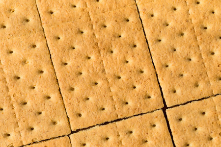 Healthy Sweet Graham Crackers Ready to Eatの写真素材