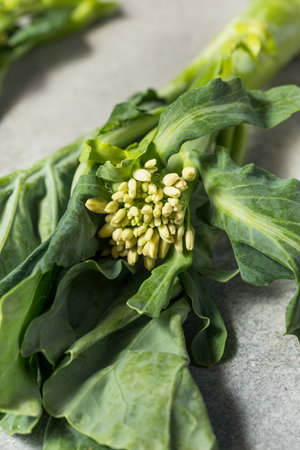 Raw Green Organic Asian Chinese Broccoli Ready to Cook