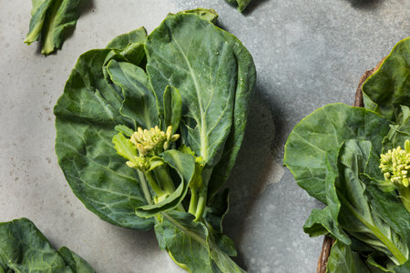 Raw Green Organic Asian Chinese Broccoli Ready to Cookの写真素材