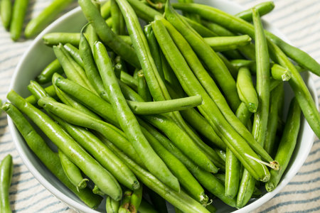 Raw Organic French Green Beans Ready to Cookの写真素材