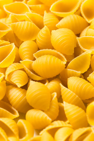 Dry Organic Conchiglie Pasta Shells Ready to Cook