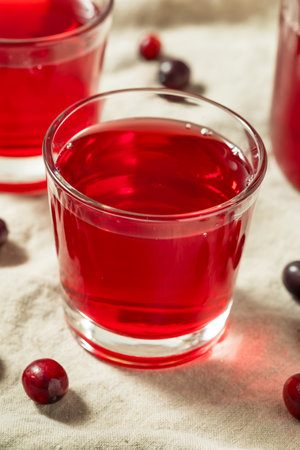 Cold Refreshing Healthy Cranberry Juice to Drink for Breakfastの写真素材