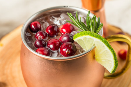Boozy Refreshing Cranberry Moscow Mule with Rosemary and Lime for the Holidaysの写真素材