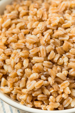 Organic Cooked Italian Farro Rice in a Bowl to Eatの写真素材