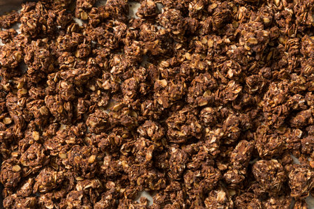 Homemade Healthy Chocolate Granola Breakfast Cereal Ready to Eat
