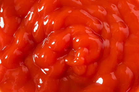 Red Organic Tomato Ketchup in a Bowl for Dippingの写真素材