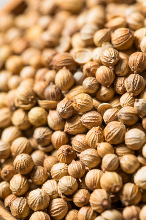 Dry Organic Indian Coriander Seeds in a Bowl for Cookingの写真素材