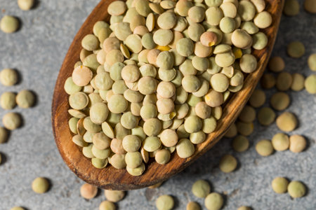 Dry Raw Organic Green Lentils on a Spoon for Cookingの写真素材