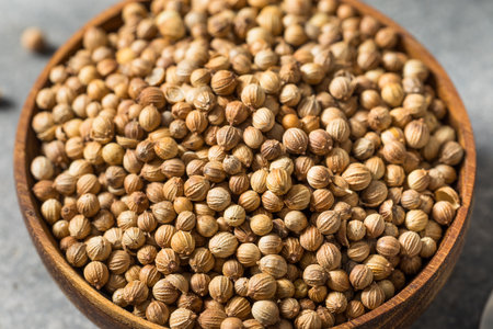 Dry Organic Indian Coriander Seeds in a Bowl for Cookingの写真素材