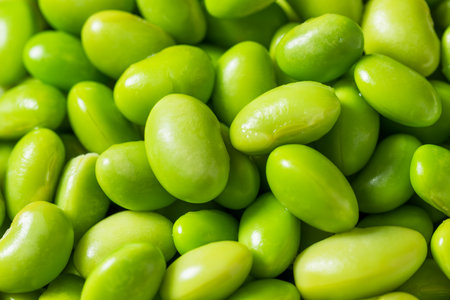 Green Organic Shelled Soy Edamame Beans in a Bowl Ready to Eatの写真素材