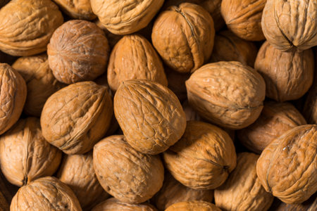 Organic Raw Walnuts in the Shell Ready to Eat